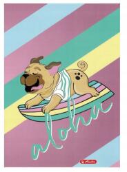 Herlitz Füzet A4 32 Lapos Kockás Herlitz Humorous Minta 3 (9577255)