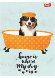 St. Majewski Füzet A5 60 K Egysoros Funny Dog Unipap Wz 1 (5903235675645)