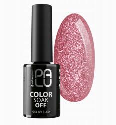 PALU Hibrid Lakk Wroclaw WW3/11G (5903819829525)