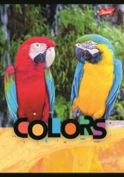 UNIPAP Füzet A5 32 K Három Sor Színes Exotic Colors Unipap Wz 3 (5903235675409)