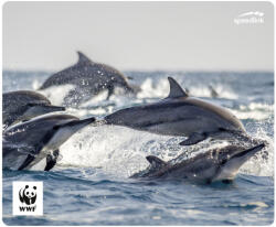 SPEEDLINK TERRA WWF Többszínű (SL-620300-WWF10)