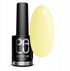 PALU Hibrid Lakk Palermo PA1 11G (5903819818437)