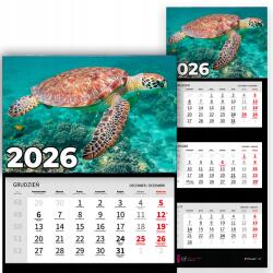 Plaka_TY Háromrészes Fali Naptár 2026 Irodai Év Lógó Tengeri Teknős Minták (Kalendarz Rok 2026 Żółw Morski Wz)