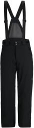Spyder Мъжки ски панталони Spyder Boundary Ski Pant Mens - Black