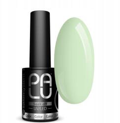 PALU Hibrid Lakk Miami MA06 11G (5903819802412)