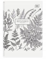 Interdruk Brulion A5 160 Lap Vonal Uv Minta 2 (175083)