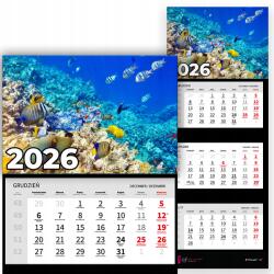 Plaka_TY Háromrészes Fali Naptár 2026-ra Függő Irodai Tengeri Halak Wz (Kalendarz Rok 2026 Ryby Morskie Wz)