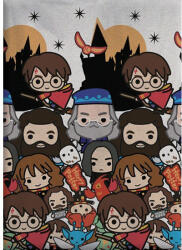 Aymax Harry Potter polár takaró 100x140cm (AYM989539)