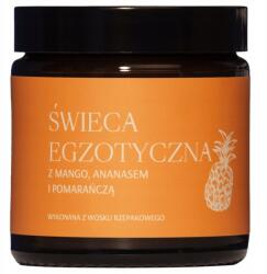 Mglife Egzotikus gyertya 120ml (5904119609350)