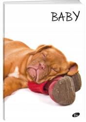 Elisa Füzet A5 32 K Baby Kockás Elisa Minta 1 (3830057067742)