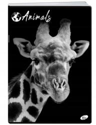 Elisa Füzet A5 60 K Animals Vonal Elisa Zsiráf (3830003694220)