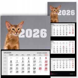 Háromrészes Naptár 2026 Irodai Év Függő Falra Akasztható Vörös Macska Mix Wz (Kalendarz 2026 RokRudy Kot Wz)