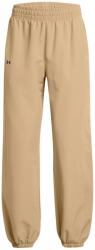 Under Armour Анцуг Under Armour Women's Closed Hem Woven Joggers - Brown