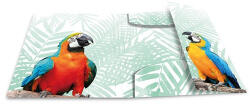 HERMA Gumis mappa PP Herma A/3 Trópusi madarak (19968) - argentumshop