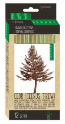 St. Majewski Cédrusfa ceruzák HB-2H Majewski CédrusLove (5903235202261)