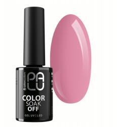 PALU Hibrid lakk Santiago SA6 -11g