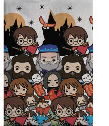 Harry Potter polár takaró 100x140cm (AYM989539)