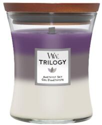 WoodWick Trilogy Amethyst Sky Közepes Üveg