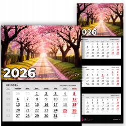 Plaka_TY Háromrészes Falinaptár 2026 Irodai Év Függő Ösvény Mix Minták (Kalendarz 2026 Rok Ścieżka Wz)