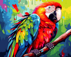 Alkotásutca Színes papagáj - Számfestő készlet kereten 40x50