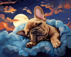 Alkotásutca Bolldog álmok - Számfestő készlet kereten 40x50