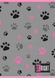 UNIPAP Füzet A5 32 K Három Vonalas Színes Lányos Unipap WZ4 (5903235654756)