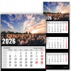  Háromrészes Fali Naptár 2026 Irodai év Természet Pitypang Minták (Kalendarz Naścienny 26 Dmuchawce Wzory)