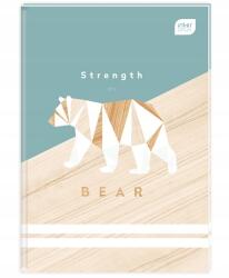 Interdruk Brulion A5 96 K Kockás Trends Boys Inter minta 3 (5902277277022)