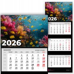 Plaka_TY Háromrészes Fali Naptár 2026 Irodai Év Lógó Tengeri Halak Minták (Kalendarz Rok 2026 Ryby Morskie Mix Wz)
