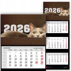 Háromrészes naptár 2026 Irodai év Függő Fali Bájos Macska Minták (Kalendarz 2026 RokUroczy Kot Wz)
