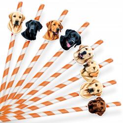  Papír Szívószál Szülinapi Dekoráció Kutyák Fajta Labrador Retriever 8 db (SŁOMKI LEGAL NR 14)