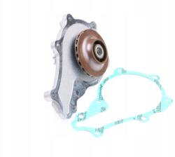 Dayco DP077 Vízpumpa, motorhűtés