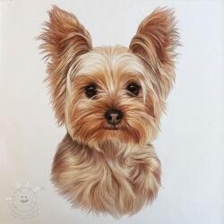  Műbőr KARIA Yorkshire PANEL