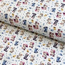  Jersey Olly and friends design D digital print