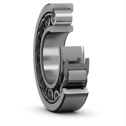 SKF Nu 221 Ecj Skf