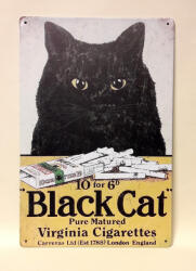 fém kép : balck cat