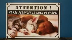  Fém kép /cica , kutya/