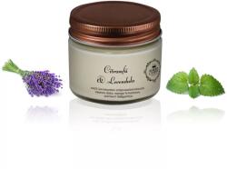 Aurora Candle Company Citromfű & Levendula - Vintage illatgyertya