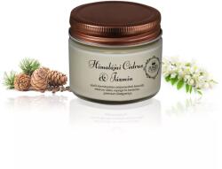 Aurora Candle Company Himalájai Cédrus & Jázmin - Vintage illatgyertya