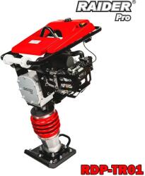 Raider RDP-TR01 (090127)