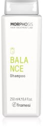 Framesi Morphosis Balance Shampoo почистващ шампоан за мазна коса 250ml