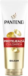 Pantene Pro-V Color Protect hajbalzsam festett hajra, 275 ml