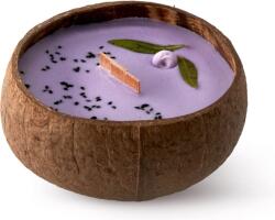 TROPIKALIA Blueberry & Vanilla lumânare parfumată cu fitil din lemn 350 ml