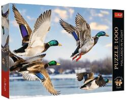 Trefl 1000 db-os Premium Plus puzzle - Vadkacsák (99278) (99278)