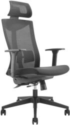 Kring Aaron Ergonomikus irodai szék, Hálós, 2D fejtámla, Állítható ülésmélység, Állítható karfák, Fekete