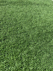 LINDA Gazon Artificial, Lungime Fir 10 mm, Latime 2m, Marime 200 x 1400 cm, Verde, Imitatie Gazon Natural, Antialergic, Polipropilena, Curte, Terasa, Balcon, Piscina, Loc de Joaca, Gradinita