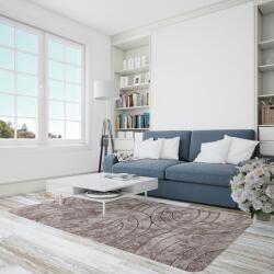 Fashion Covor Fashion 32006-120, Marime 200 x 300 cm, Maro, Inaltime Fir 12 mm, Antialergic, Polipropilena, Living, Dormitor, Sufragerie, Birou Covor