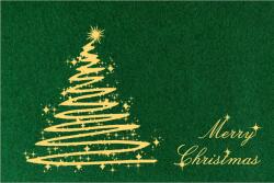 Craciun Covor Model Craciun 870004, Marime 40 x 60 cm, Verde, Inaltime Fir Tesatura plata, Antialergic, Polipropilena, Intrare (COVOR XMASS GREEN 870004 0.4X0.6) Pres
