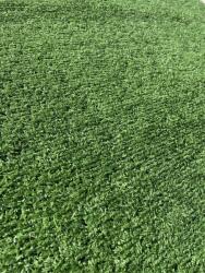 LINDA Gazon Artificial, Lungime Fir 10 mm, Latime 2m, Marime 200 x 1900 cm, Verde, Imitatie Gazon Natural, Antialergic, Polipropilena, Curte, Terasa, Balcon, Piscina, Loc de Joaca, Gradinita