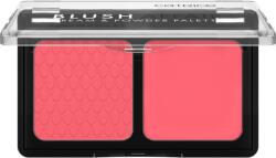 CATRICE Blush Affair 010 6 g